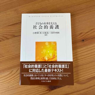 子どもの未来を支える社会的養護(人文/社会)