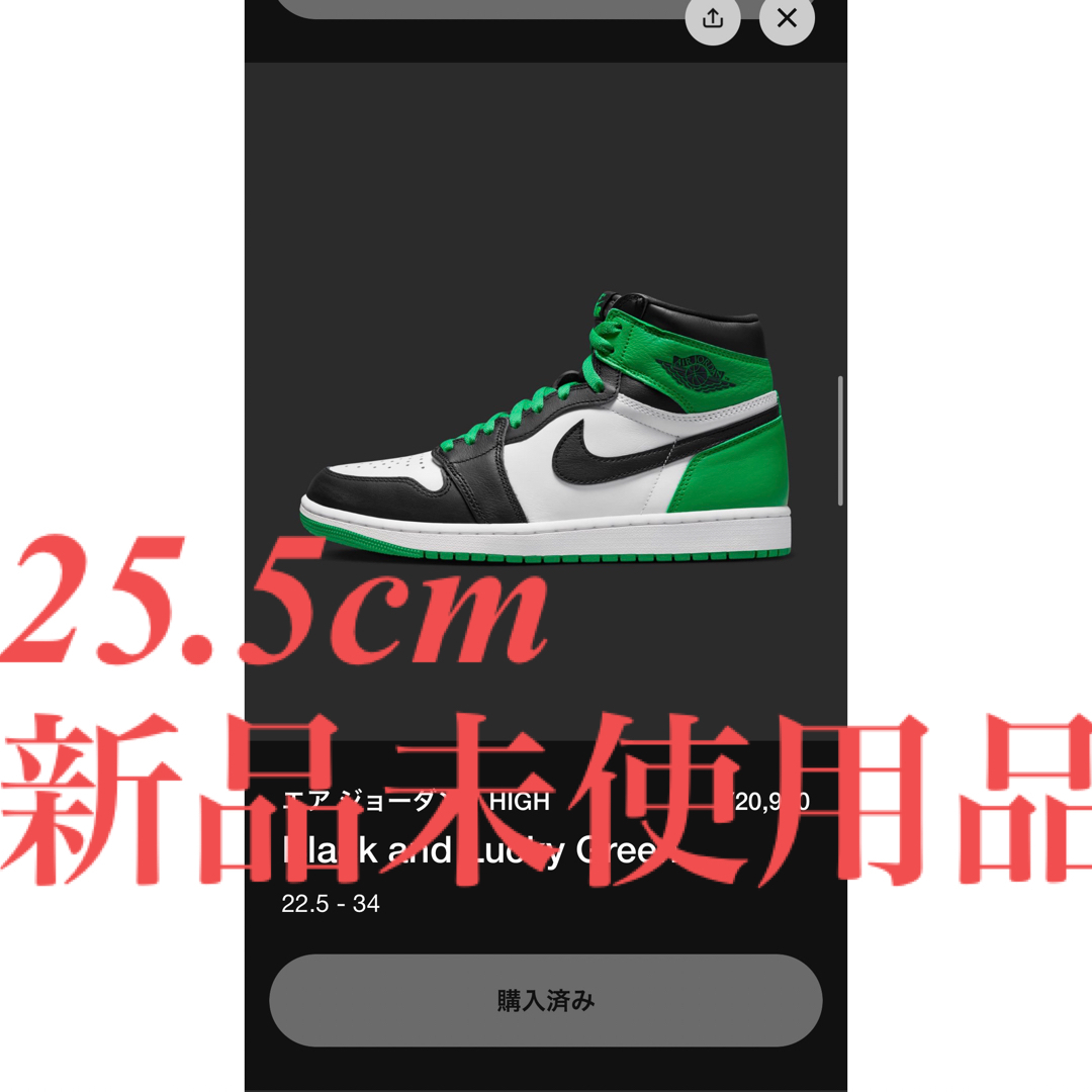 AJ1NIKE AJ1 Black and lucky green 25.5 グリーン