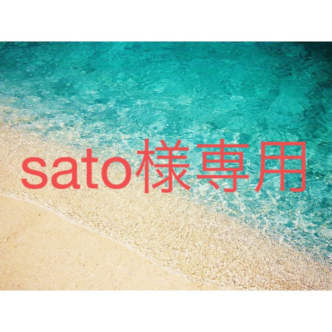 satoさま専用.