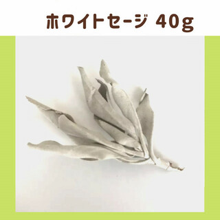 ホワイトセージ 40g(お香/香炉)
