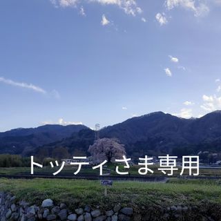Panasonic - トッティさま専用の通販 by はな's shop|パナソニック