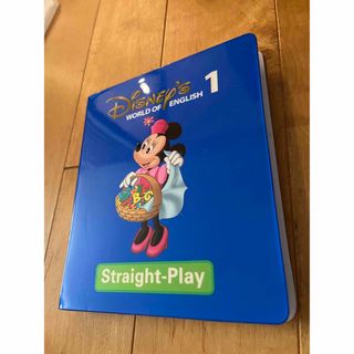 ディズニー(Disney)のワールドファミリー　DWE straight play 1 DVD (知育玩具)