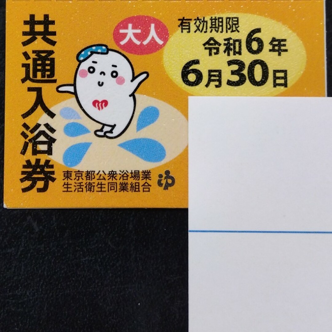 東京都共通入浴券　銭湯回数券30枚令和6年6月30日