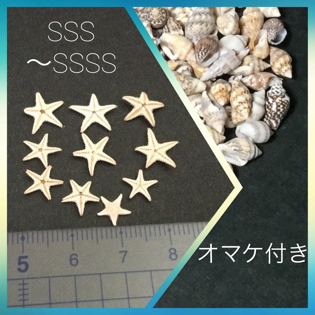 琉球*海のたね　ミニヒトデ　SSSSサイズ  Aセット ハンドメイドの素材/材料(各種パーツ)の商品写真