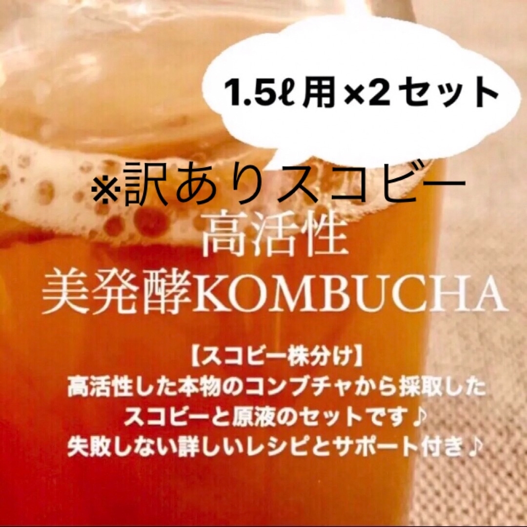 訳ありスコビー 大容量コンブチャ3リットル作成用 紅茶きのこの通販 by