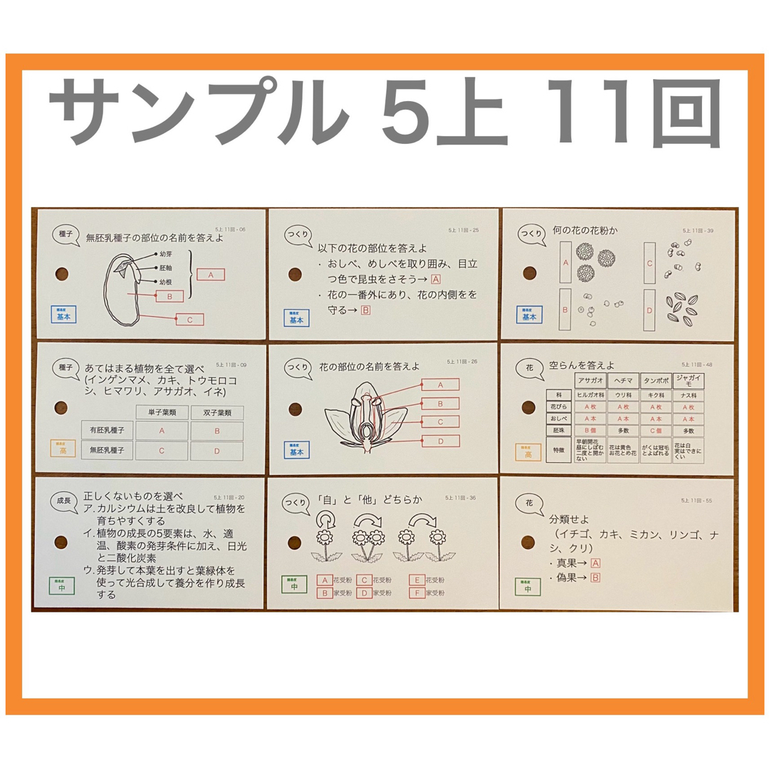 中学受験【5年上全セット 社会・理科 1-19回】組分けテスト対策 予習