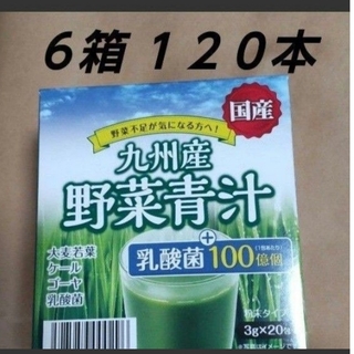 野菜青汁 ６箱 １２０本 乳酸菌 大麦若葉 青汁(青汁/ケール加工食品)