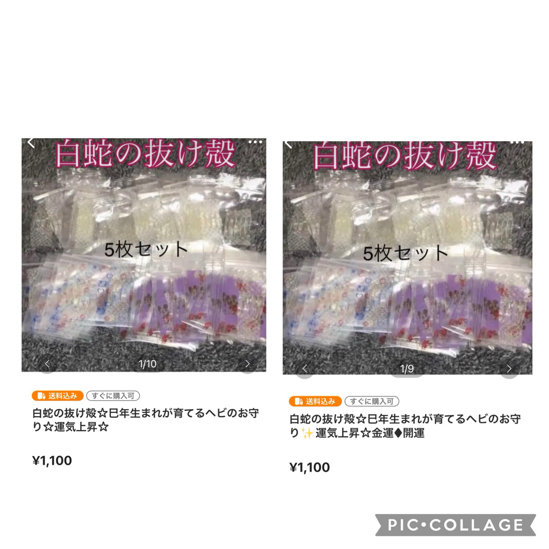 白蛇の抜け殻☆巳年生まれが育てるヘビのお守り☆開運☆金 白蛇の抜け殻☆巳年生まれが育てるヘビのお守り☆開運☆金