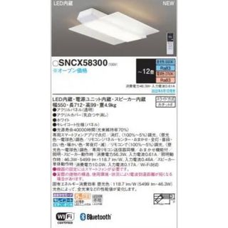 パナソニック(Panasonic)のパナソニック　スピーカー付きシーリングライト(天井照明)