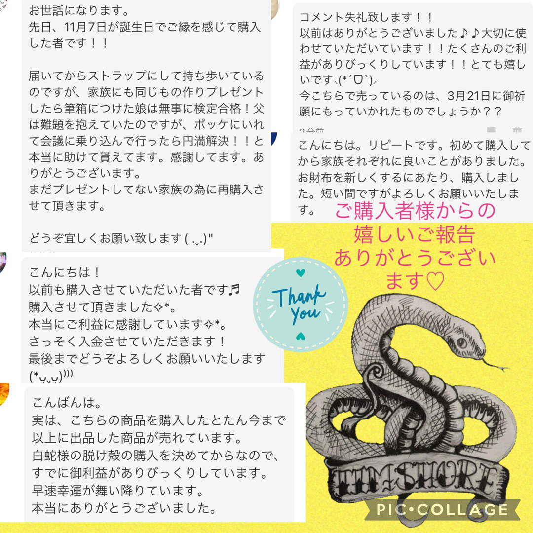 白蛇の抜け殻❖巳年生まれが育てるヘビのお守り❖全身☆貴重【天赦日】カードサイズ⑥