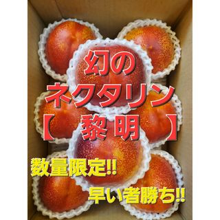 只今タイムセール中！！食べ応えある大きめサイズ！幻のネクタリン　山梨県産「黎明」(フルーツ)