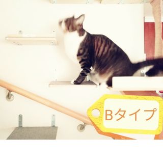 キャットステップ　2個セット(猫)