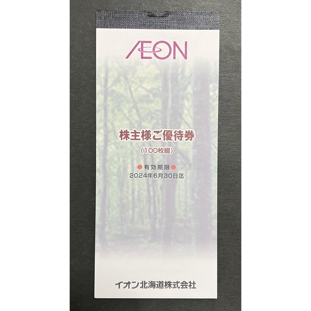 イオン北海道　株主優待　100枚綴り　最新
