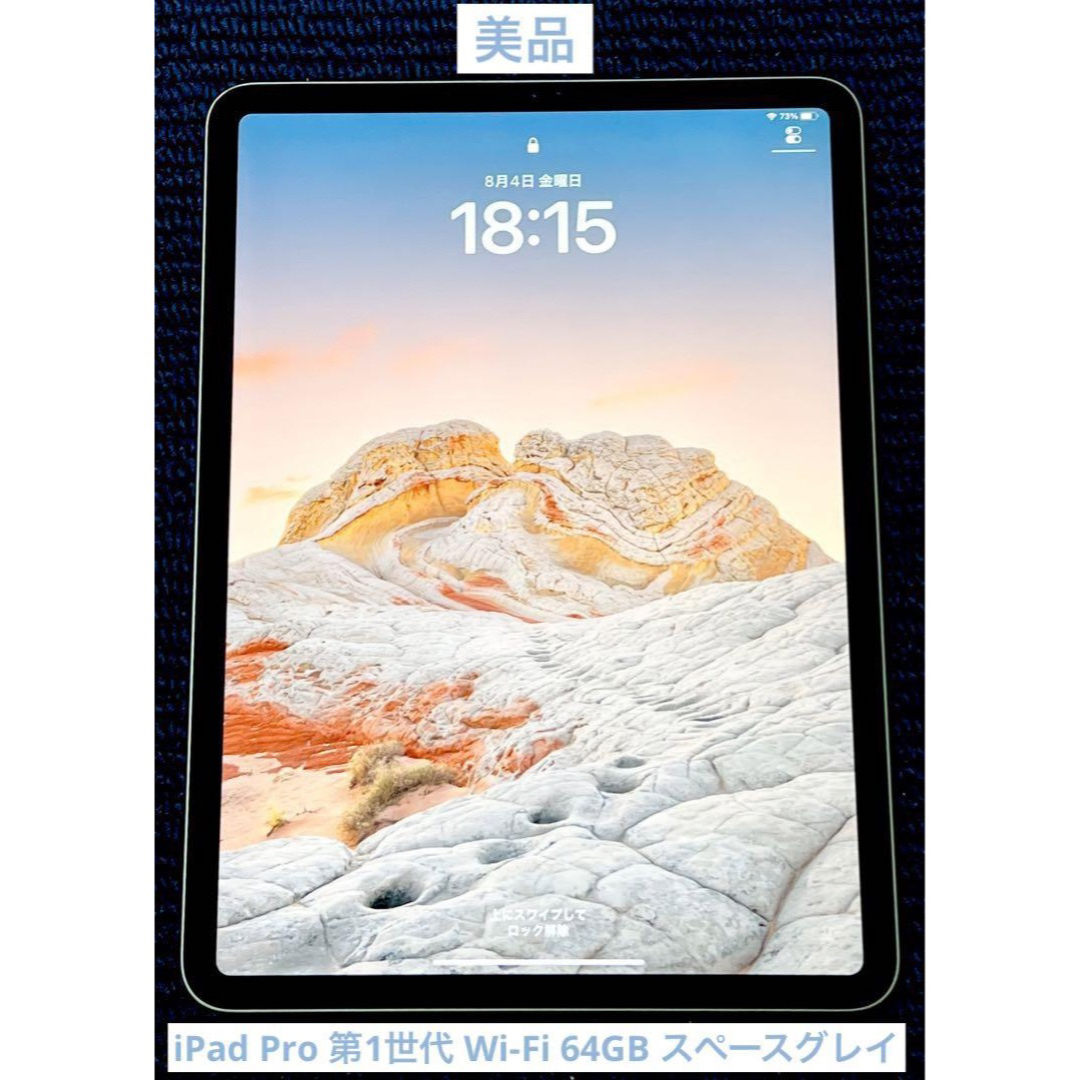 美品　iPad Pro 第1世代 Wi-Fi 64GB スペースグレイ