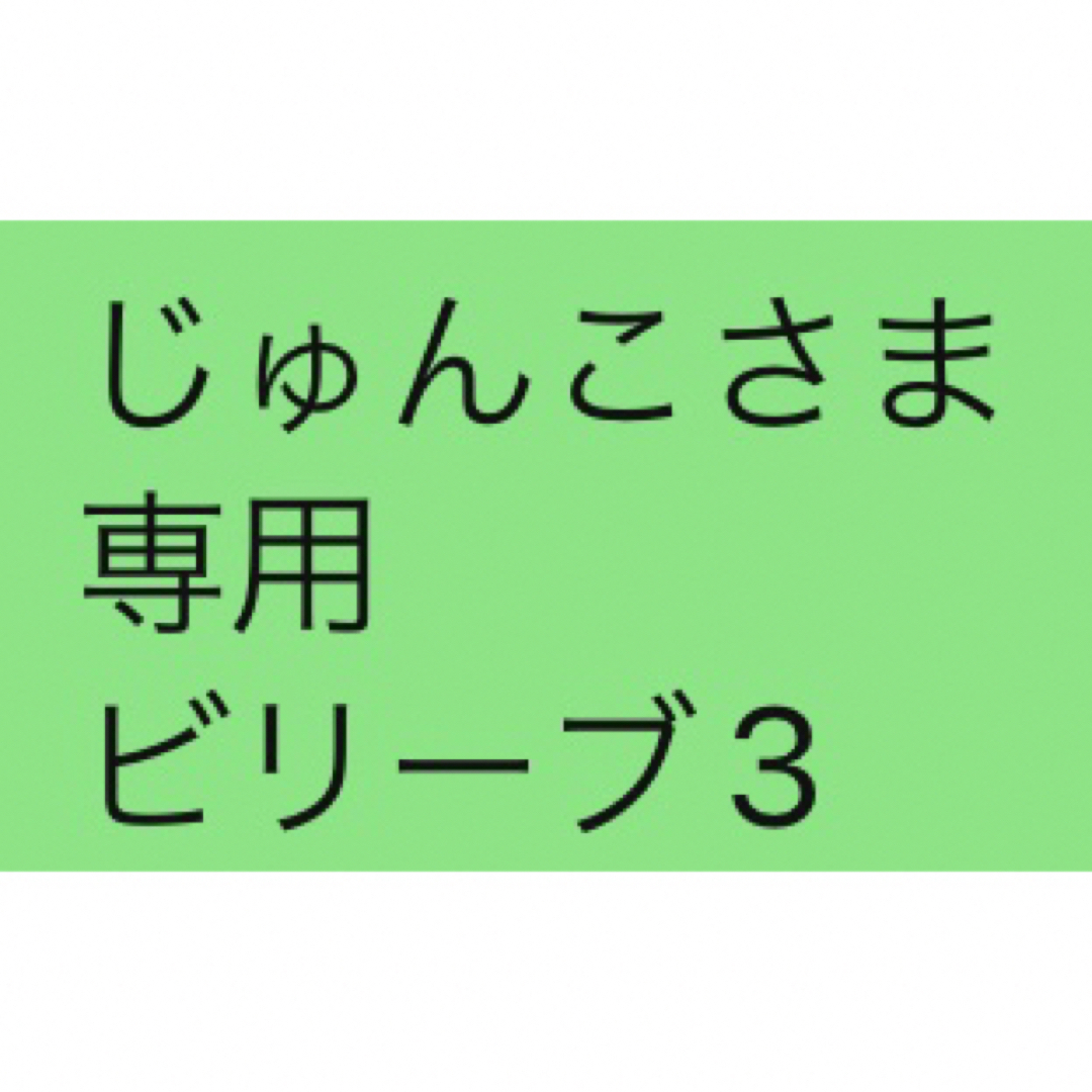 じゅんこさま 専用 ビリーブ3