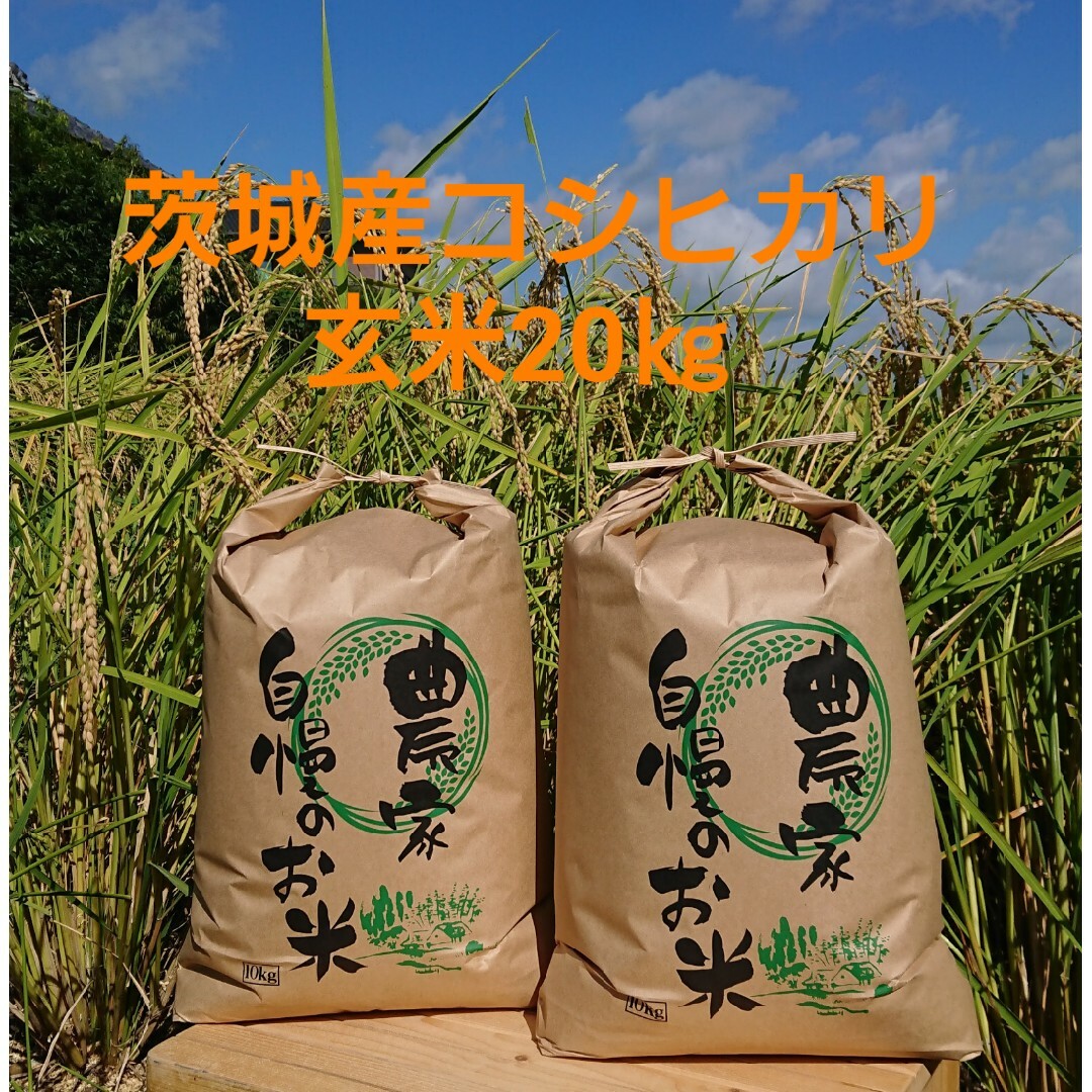 茨城令和4年産コシヒカリ玄米20kg　米/穀物