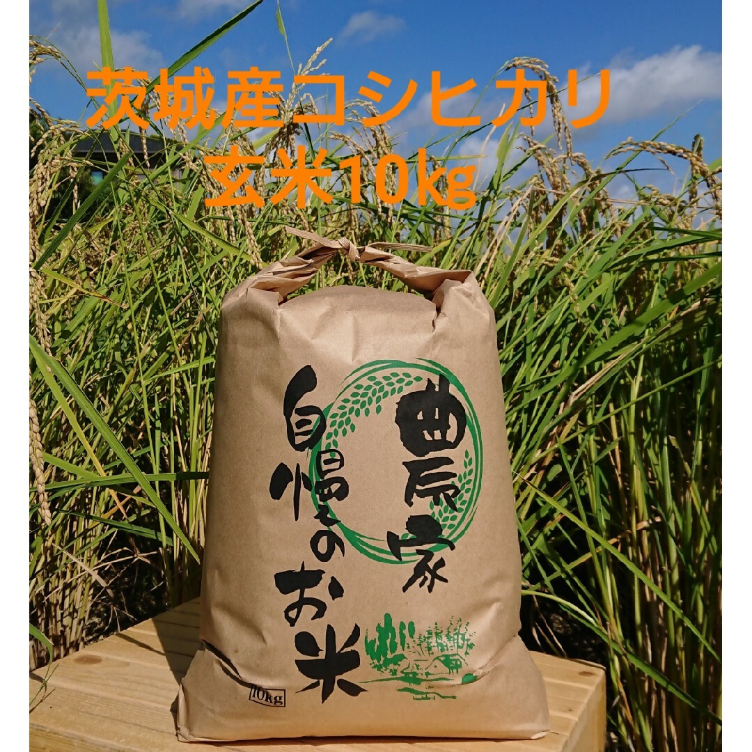 茨城令和4年産コシヒカリ玄米10kg 食品/飲料/酒の食品(米/穀物)の商品写真