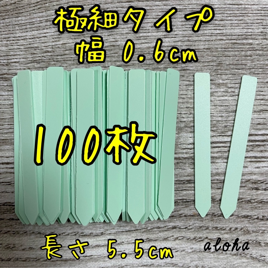 ミント　100枚 多肉植物 アガベ サボテンに◎ 園芸用 ラベル ネームラベル ハンドメイドのフラワー/ガーデン(その他)の商品写真