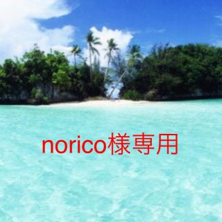 ★norico様専用ページ★本革 持ち手カバー 一式(バッグ)