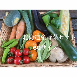 北海道産 季節の野菜セット詰め合わせ 60サイズ(野菜)