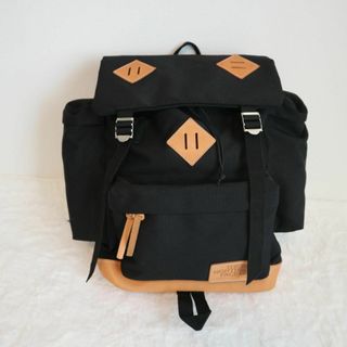 希少極美品 THE NORTH FACE Novelty PF Daypack