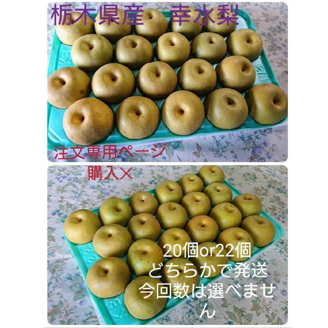 栃木県産　幸水梨　5kg(20個or22個) 食品/飲料/酒の食品(フルーツ)の商品写真