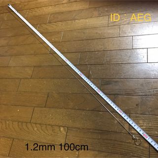 神経締め 0.8mm 1.0mm 48cm 1.2mm 100cm 3本セット(その他)