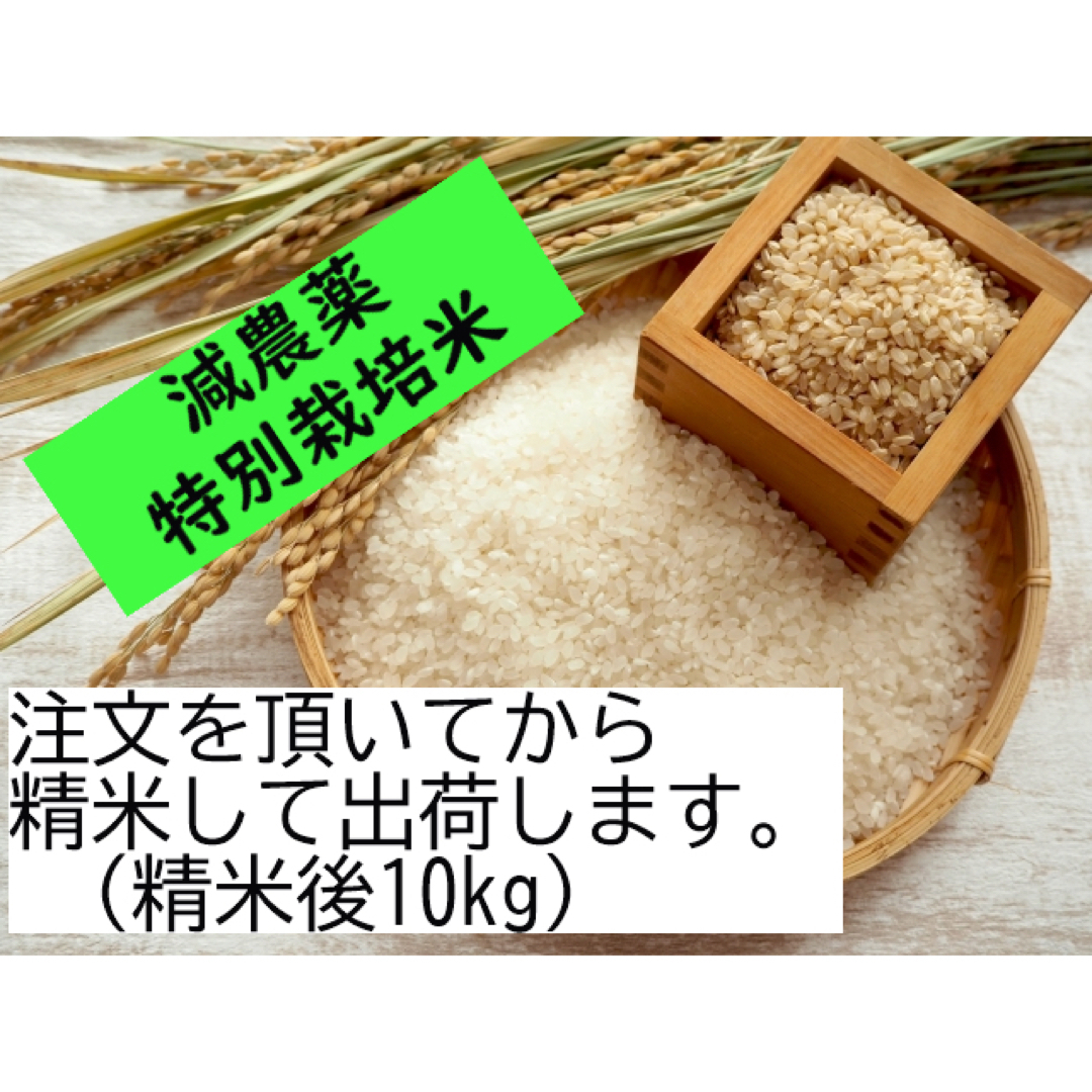 10kg(5kg×2)×2ヶ月　3人に1人がリピーター!☆全2回定期便☆　ふるさと納税　岩手ふるさと米　【10月以降価格改定】　令和5年産　新米　一等米..