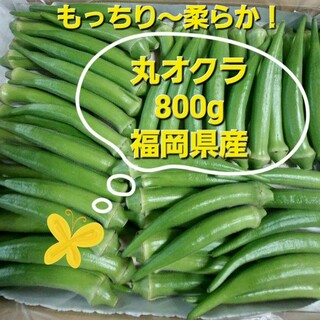丸オクラ　800g　福岡県産　ネコポスト(野菜)