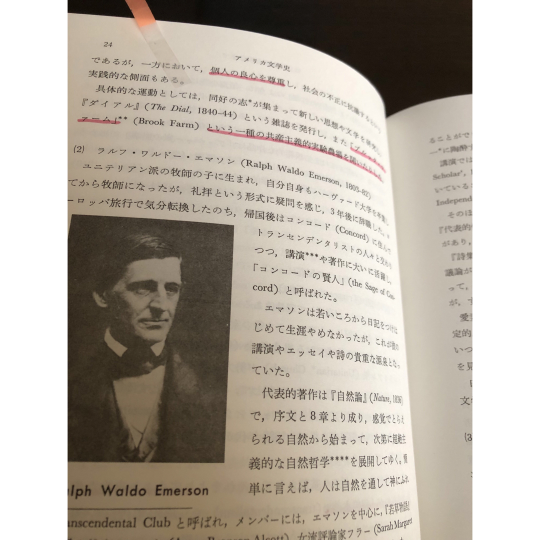 アメリカ文学史　　成美堂　　西田実 エンタメ/ホビーの本(語学/参考書)の商品写真