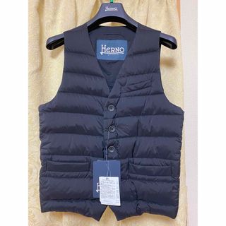ヘルノ ダウンベスト(メンズ)の通販 100点以上 | HERNOのメンズを買う