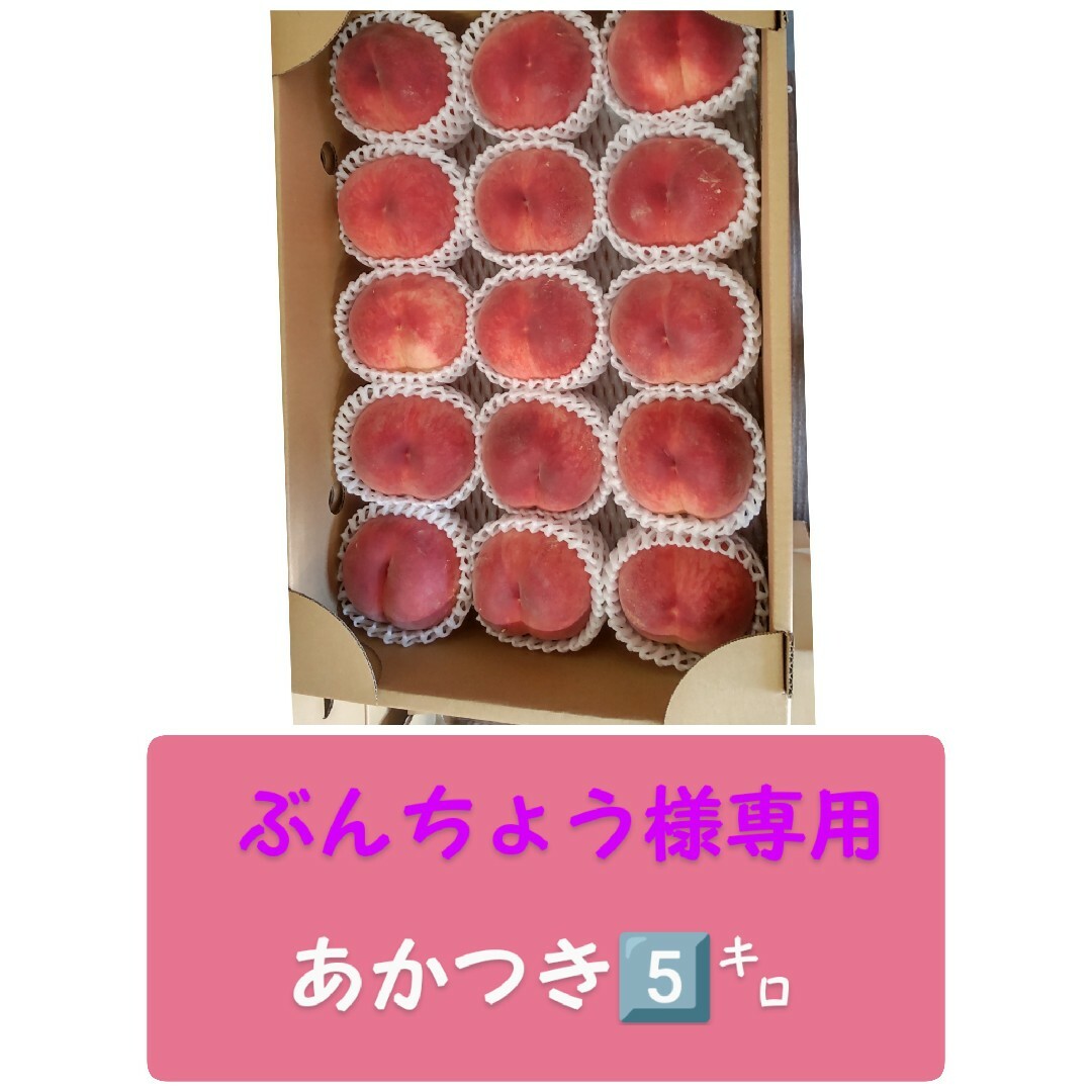 🍑ぶんちょう様専用🍑 食品/飲料/酒の食品(フルーツ)の商品写真