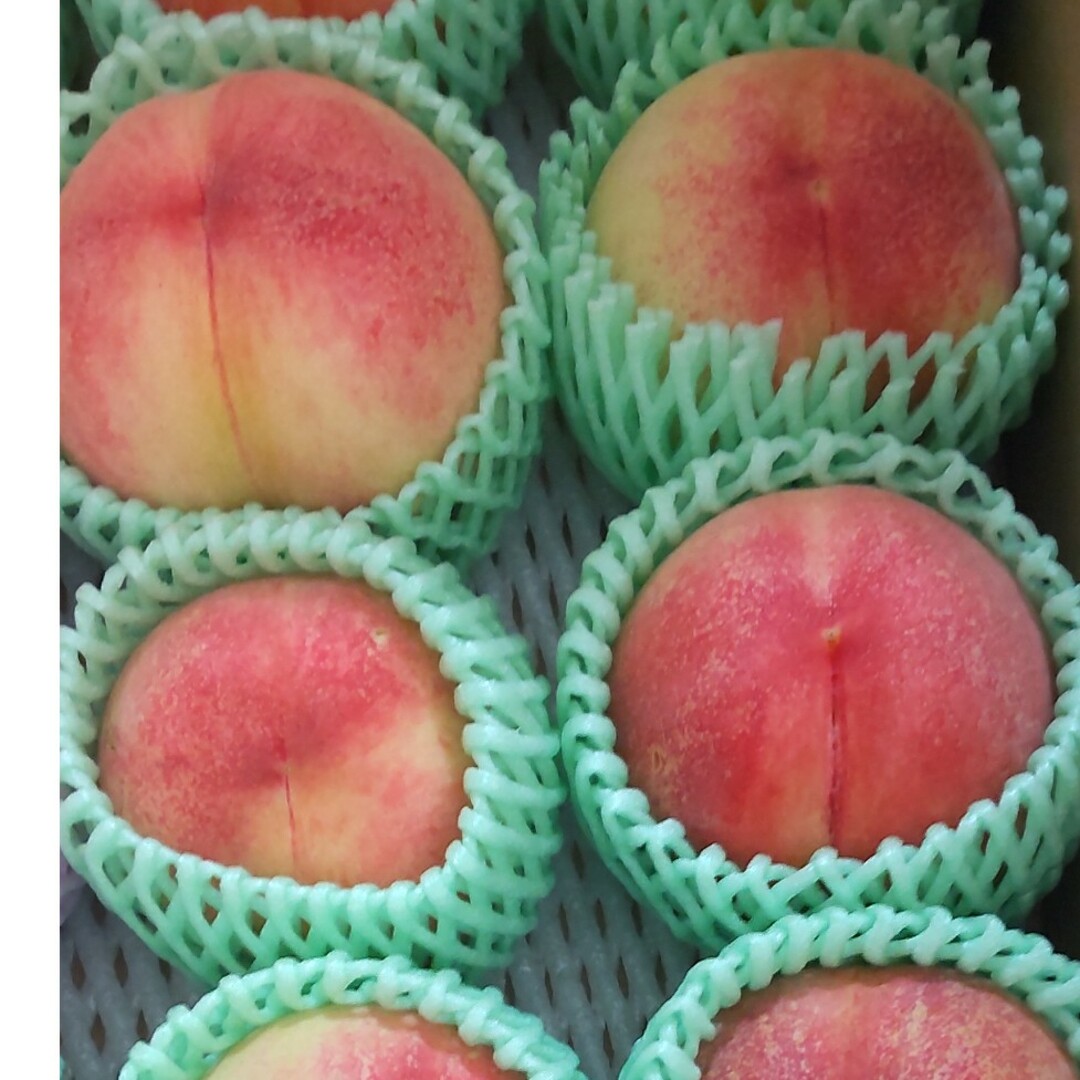 🍑ぶんちょう様専用🍑 食品/飲料/酒の食品(フルーツ)の商品写真