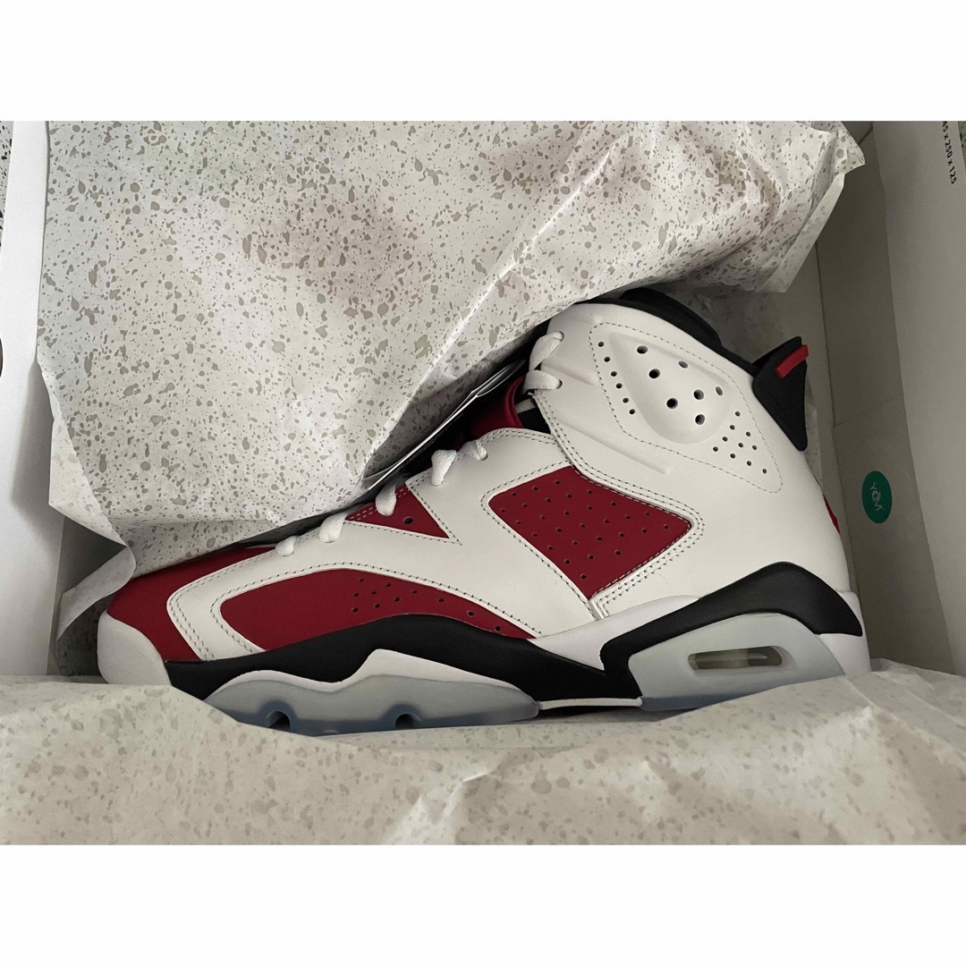 Nike Air Jordan 6 "Carmine" (2021) 28センチ