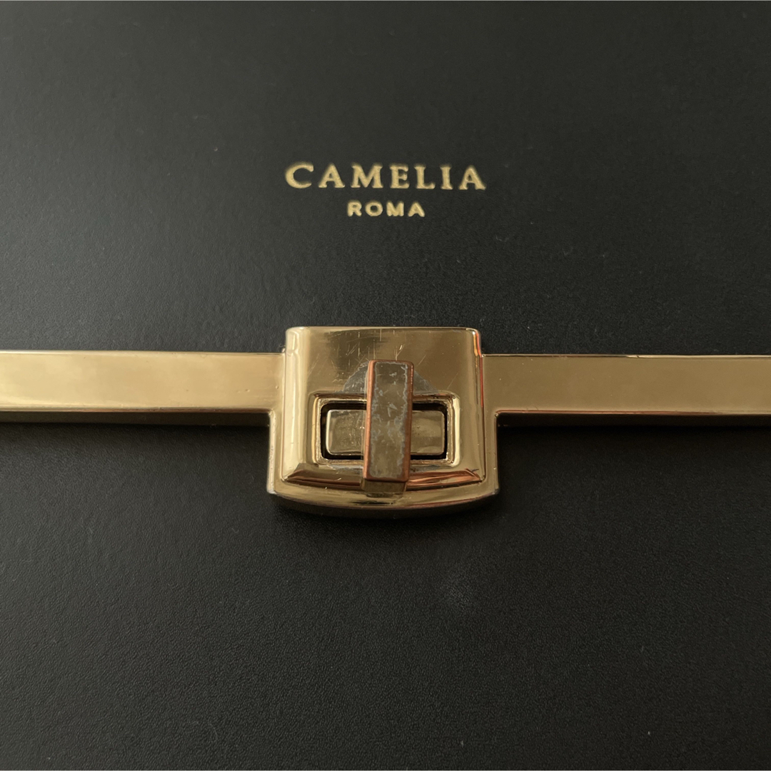 CAMELIA ROMA(カメリアローマ)の=♡様専用カメリアローマ　レザーハンドバッグ レディースのバッグ(ハンドバッグ)の商品写真