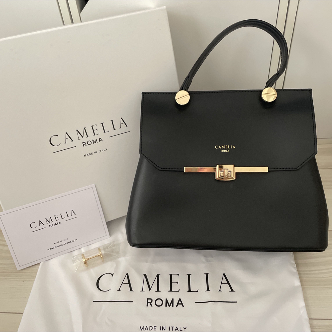 CAMELIA ROMA(カメリアローマ)の=♡様専用カメリアローマ　レザーハンドバッグ レディースのバッグ(ハンドバッグ)の商品写真