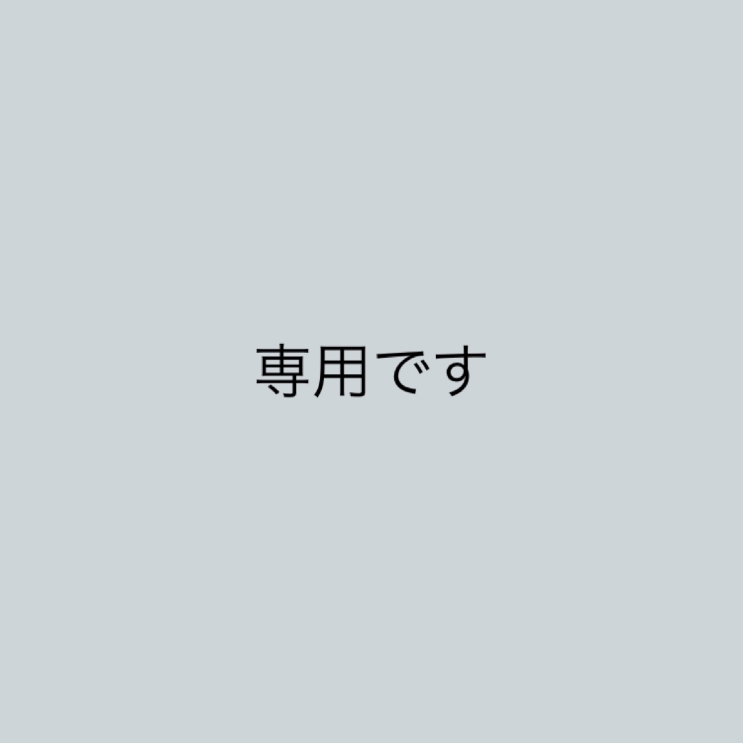 ★専用です★ラブラリーファイター　 フラットポーチとハンカチのセット