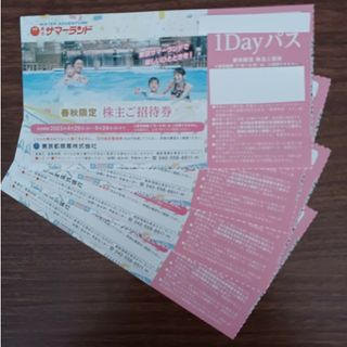 東京サマーランド　春秋限定　1Dayパス　4枚(その他)