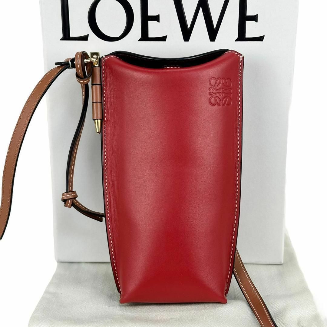 LOEWE - 現行タイプ☆極美品☆ロエベ ゲートポケット バイカラー