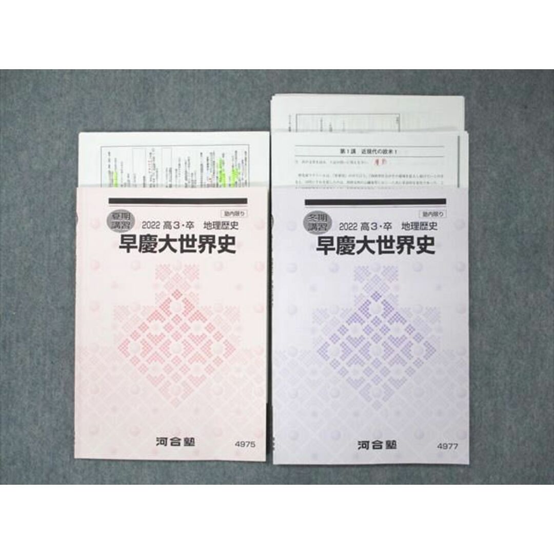 US19-010 河合塾 早慶大世界史 テキスト 2022 夏期/冬期講習 計2冊 15m0D