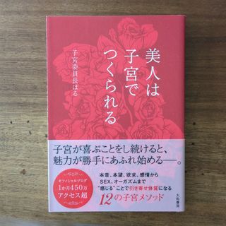 美人は子宮でつくられる(文学/小説)