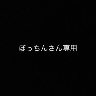 ぽっちんさん専用(アウトドアテーブル)