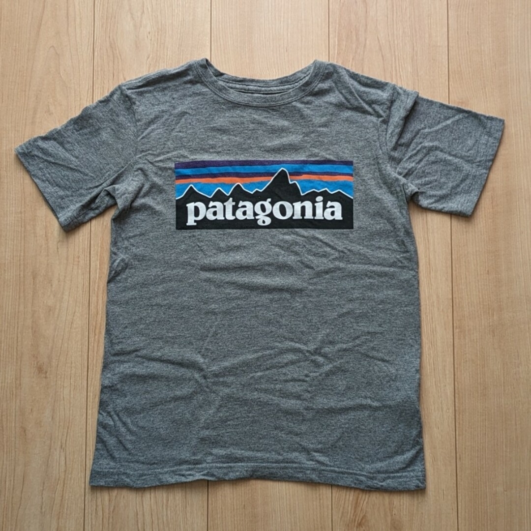 patagonia(パタゴニア)の【coco樣専用】パタゴニア&ビワコットンTシャツ キッズ/ベビー/マタニティのキッズ服男の子用(90cm~)(Tシャツ/カットソー)の商品写真