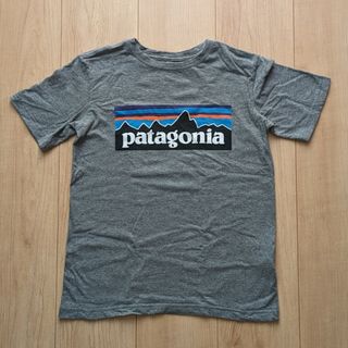 パタゴニア(patagonia)の【coco樣専用】パタゴニア&ビワコットンTシャツ(Tシャツ/カットソー)