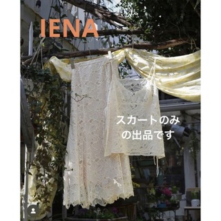 イエナ(IENA)の新品IENA レースセミフレアスカート(ロングスカート)