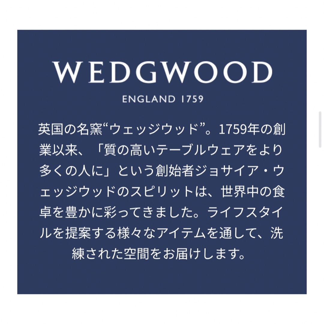 WEDGWOOD(ウェッジウッド)のドクターシーラボ x ウェッジウッド   トラベルポーチ &マルチケース レディースのファッション小物(ポーチ)の商品写真