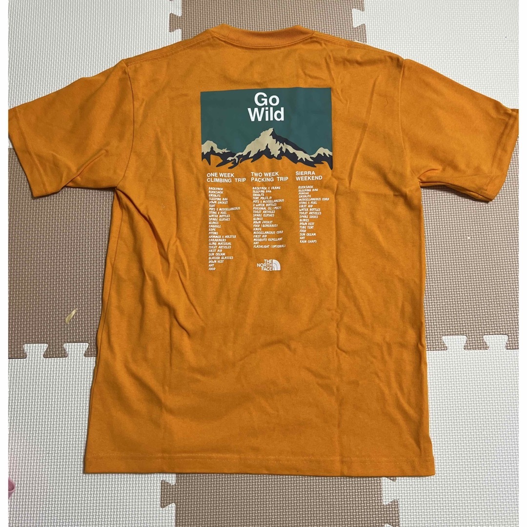 THE NORTH FACE(ザノースフェイス)のTHE NORTHFACE バックプリントTシャツ メンズのトップス(Tシャツ/カットソー(半袖/袖なし))の商品写真