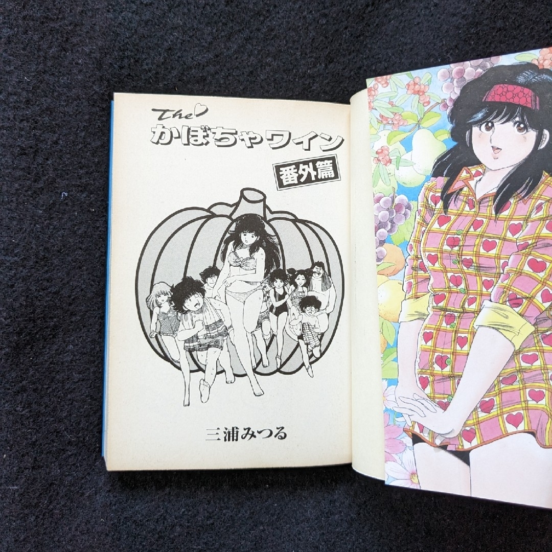 The かぼちゃワイン 文庫本 番外篇 三浦みつる エル 春助 初版本 The かぼちゃワイン 文庫本 番外篇 三浦みつる エル 春助 初版本