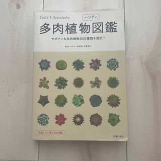 多肉植物ハンディ図鑑 サボテン＆多肉植物８００種類を紹介！(趣味/スポーツ/実用)