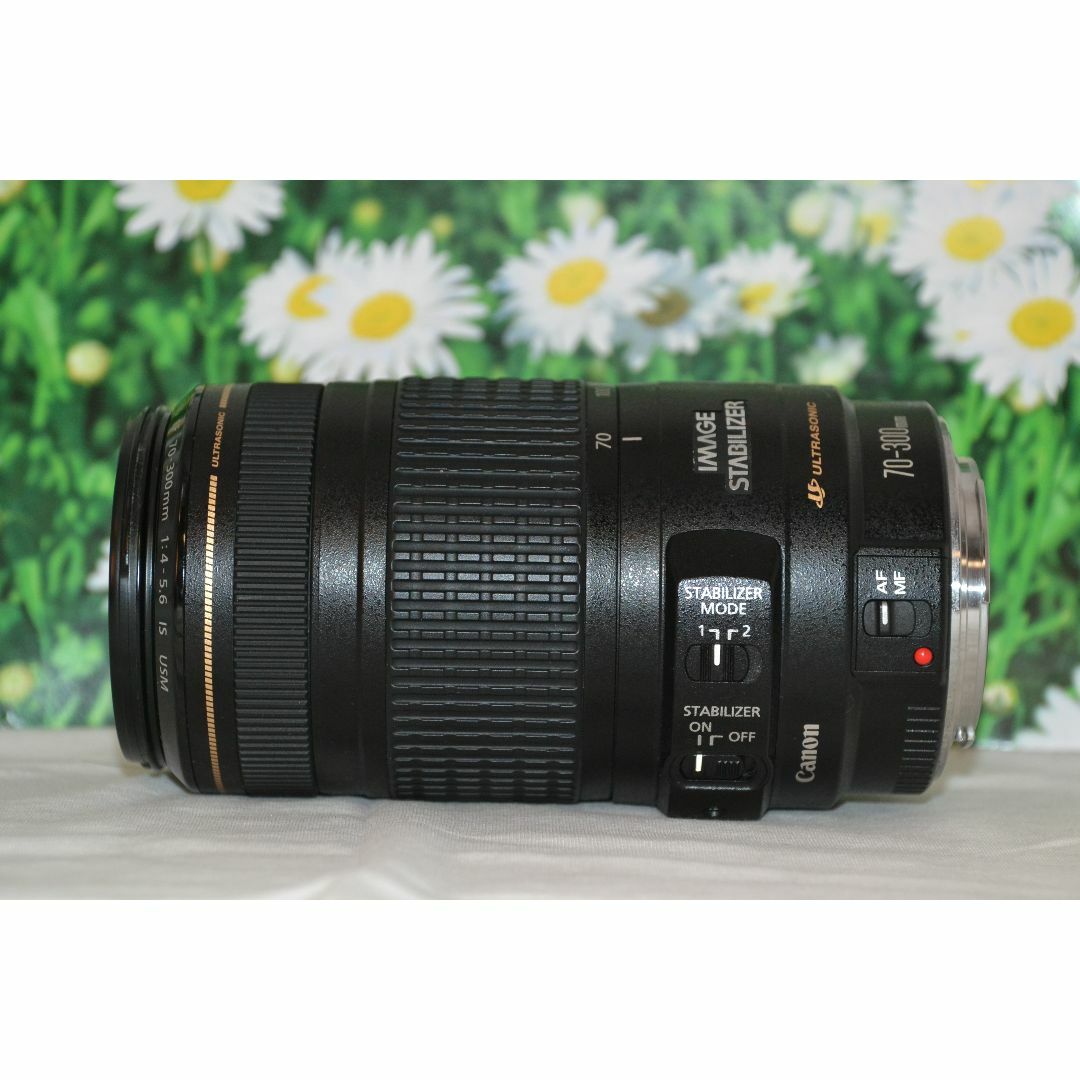 Canon EF 70-300mm F4-5.6 IS USM ️超望遠レンズ ヘルシ価格